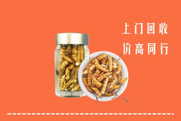 通化市柳河县回收冬虫夏草